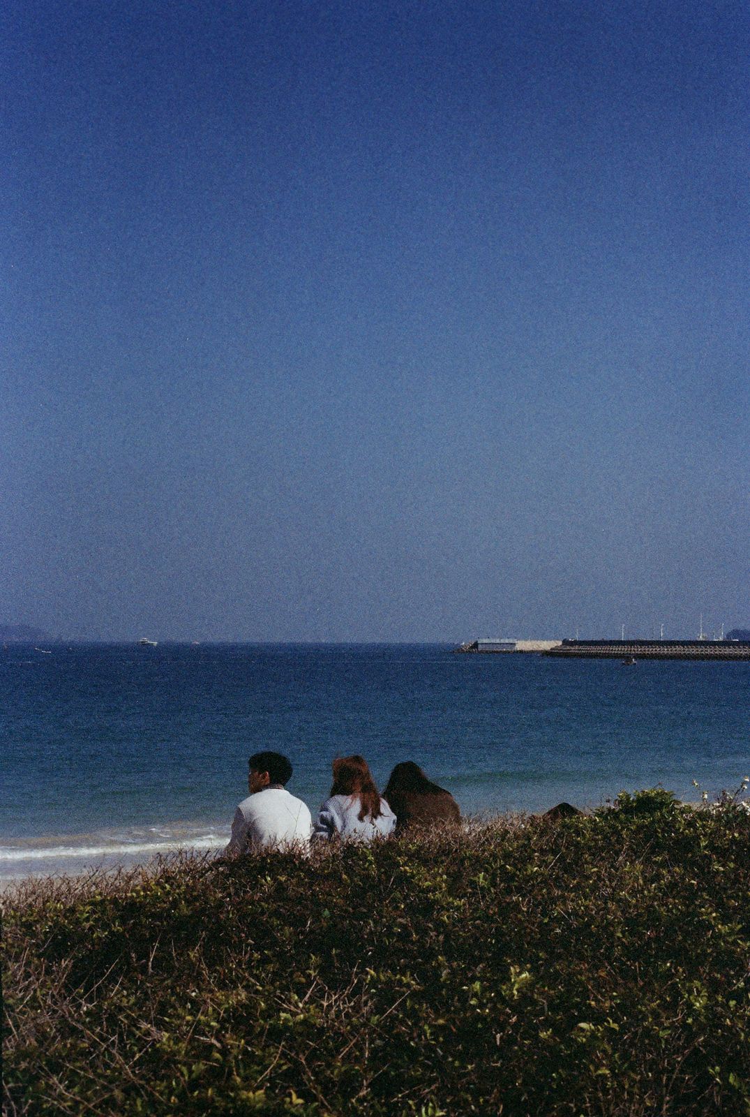 日常的镜头 19