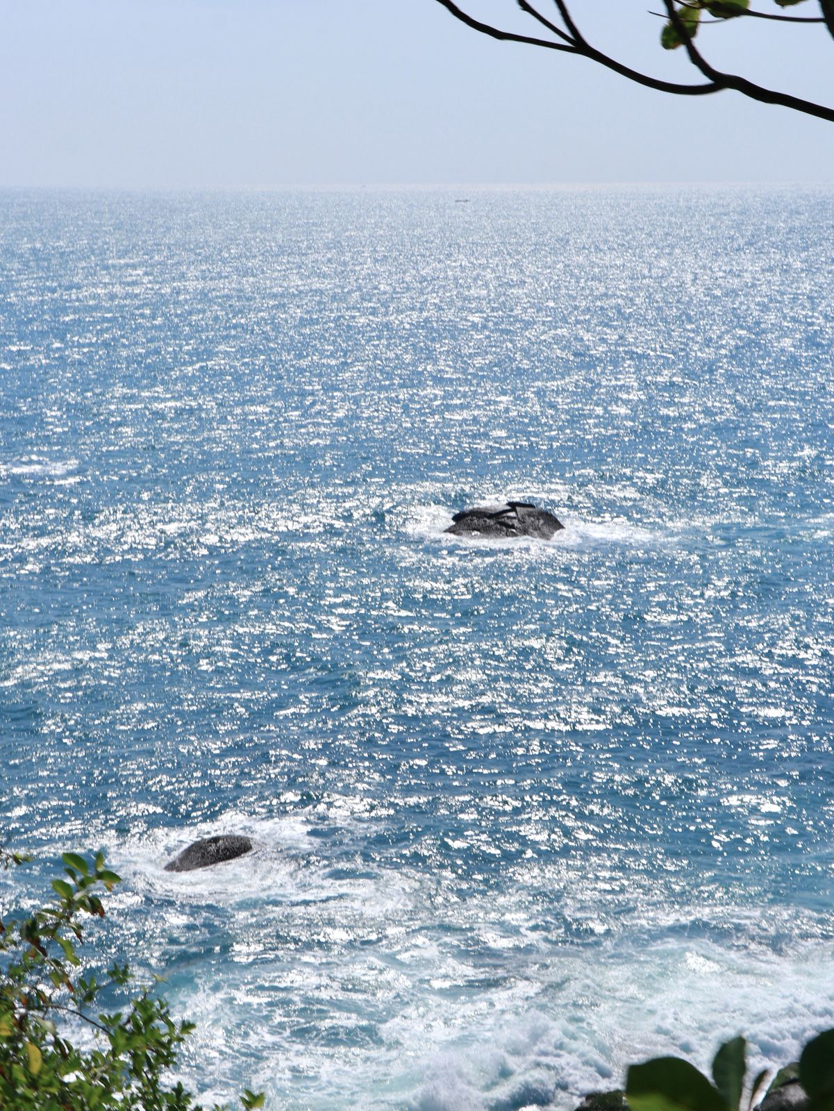 海南 30