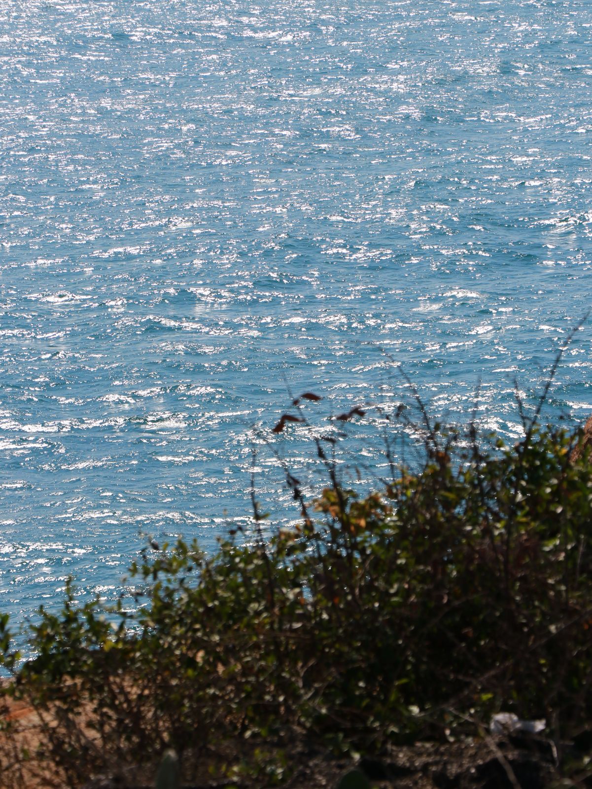 海南 31