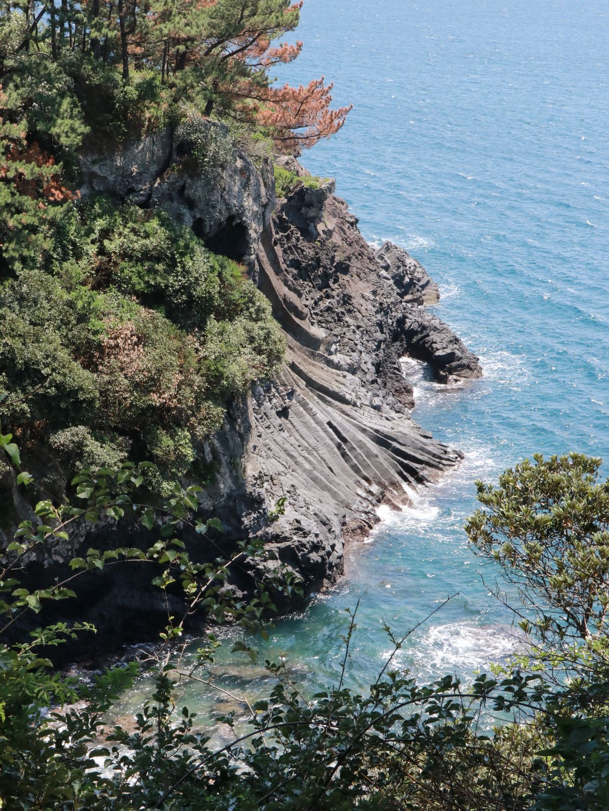 济州岛偶来小路100km 03