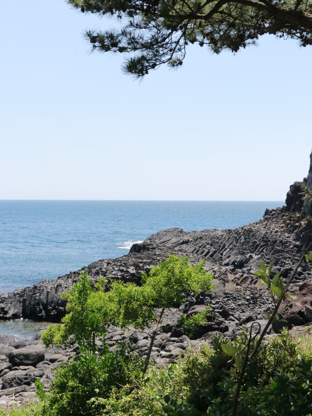 济州岛偶来小路100km 05