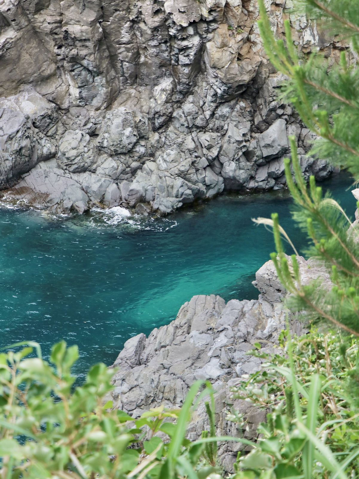 济州岛偶来小路100km 09