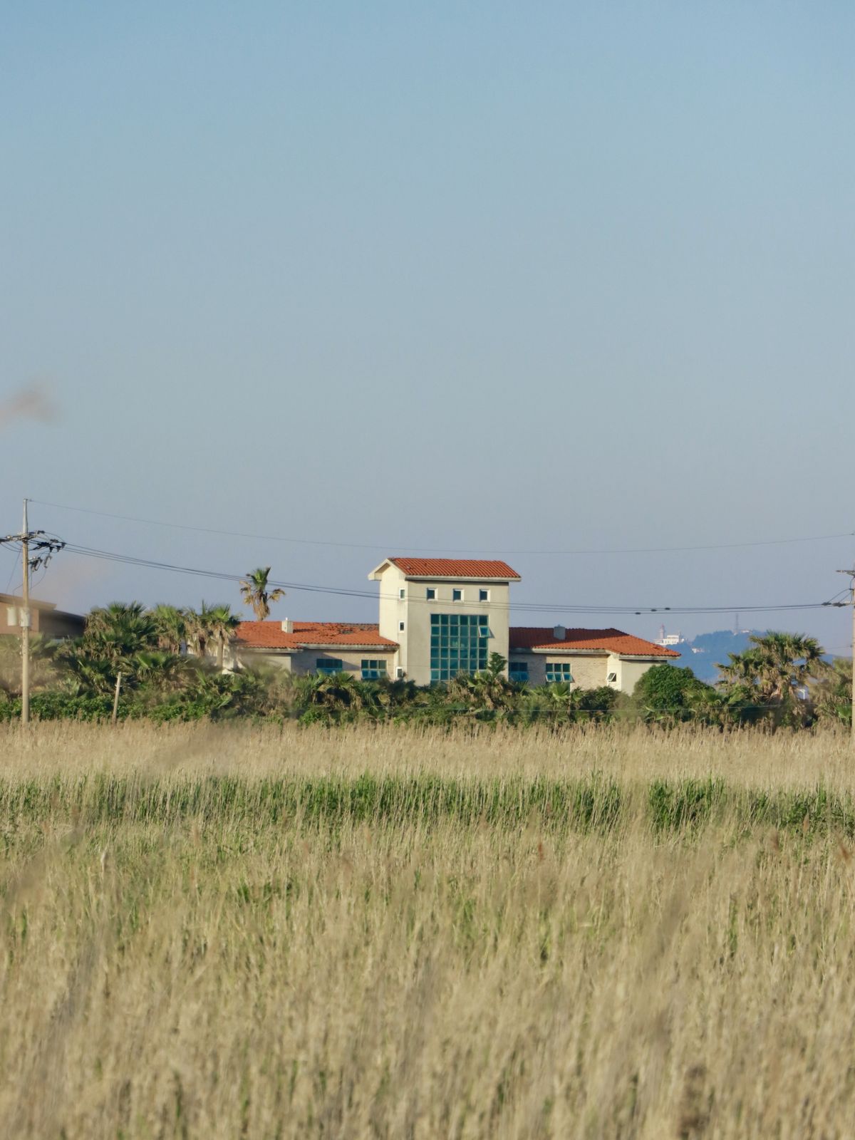 济州岛偶来小路100km 13